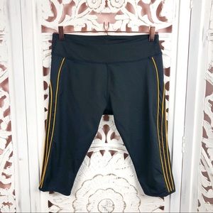 Fabletics Graphite Polar Crop